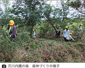 石川内灘の森 森林づくりの様子