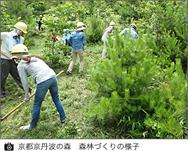 京都京丹波の森 森林づくりの様子